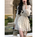 Chiffon Delight Mini Dress