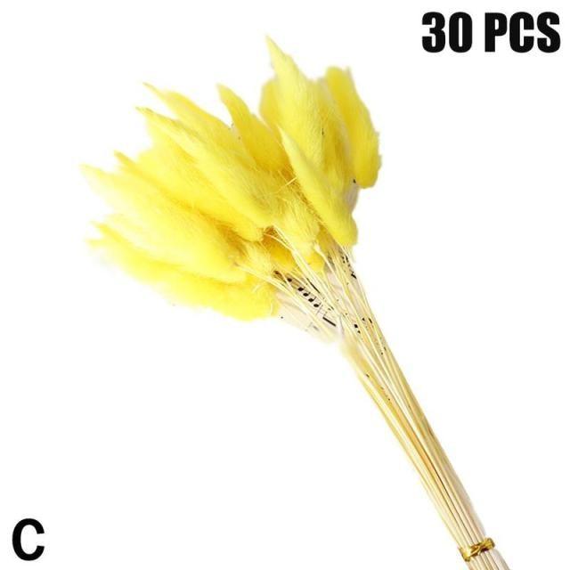 Real Dried Grass Reed Flower Natural Dry Small Bulrush Bouquet Pampas Reeds Home Decoration Wedding Decor Pompass Grass Branches for Vase Artificial Grass Room Décor Wedding Decorations